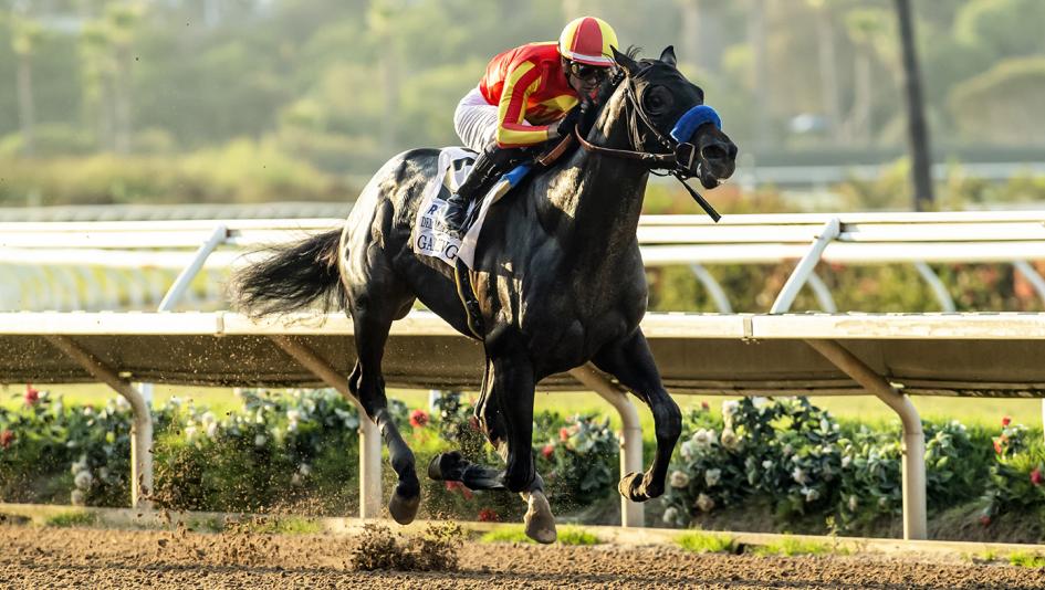 Gaming, Del Mar Futurity, Del Mar, BENOIT